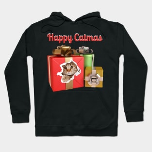 Christmas - Happy Catmas, cat in a present, family christmas pjama t-shirt Hoodie